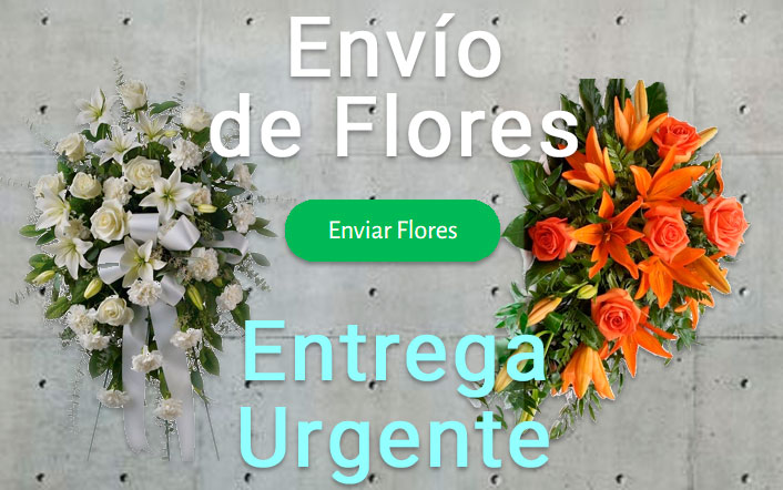 Envio flores difunto urgente a Tanatorio Lleida